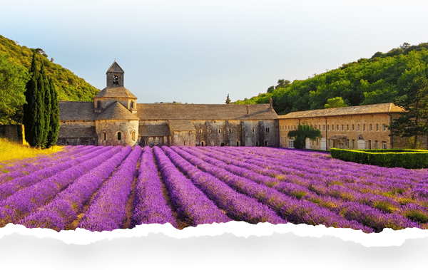 O que são Ervas de Provence? 🌿